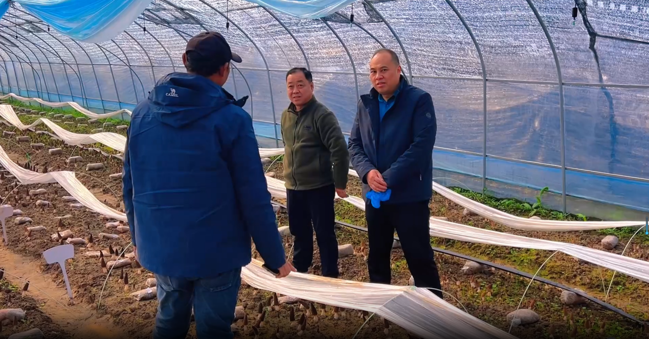 圖片關鍵詞