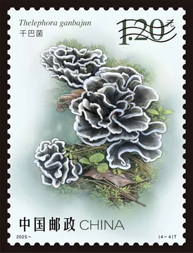 圖片關鍵詞 圖片關鍵詞