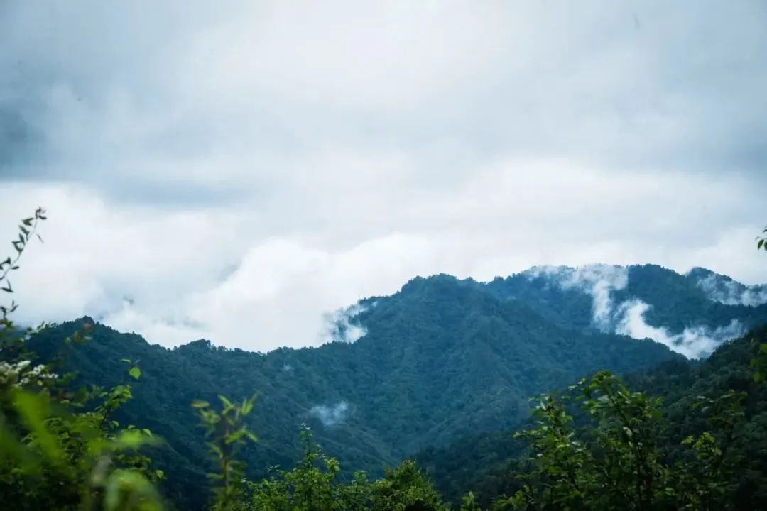 圖片關鍵詞