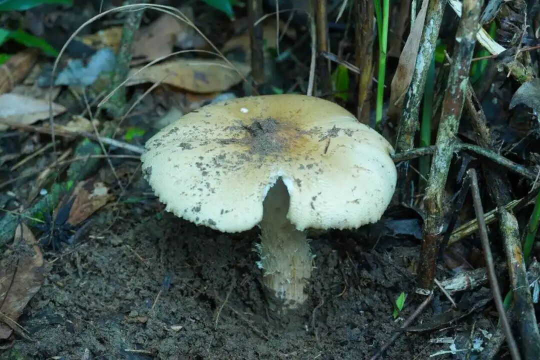 圖片關鍵詞