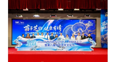 專題報(bào)道